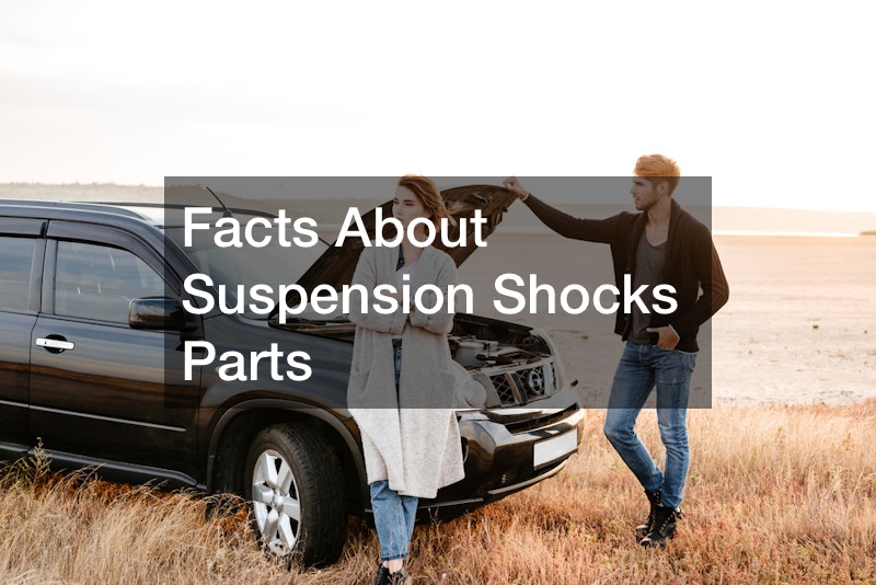 Facts About Suspension Shocks Parts